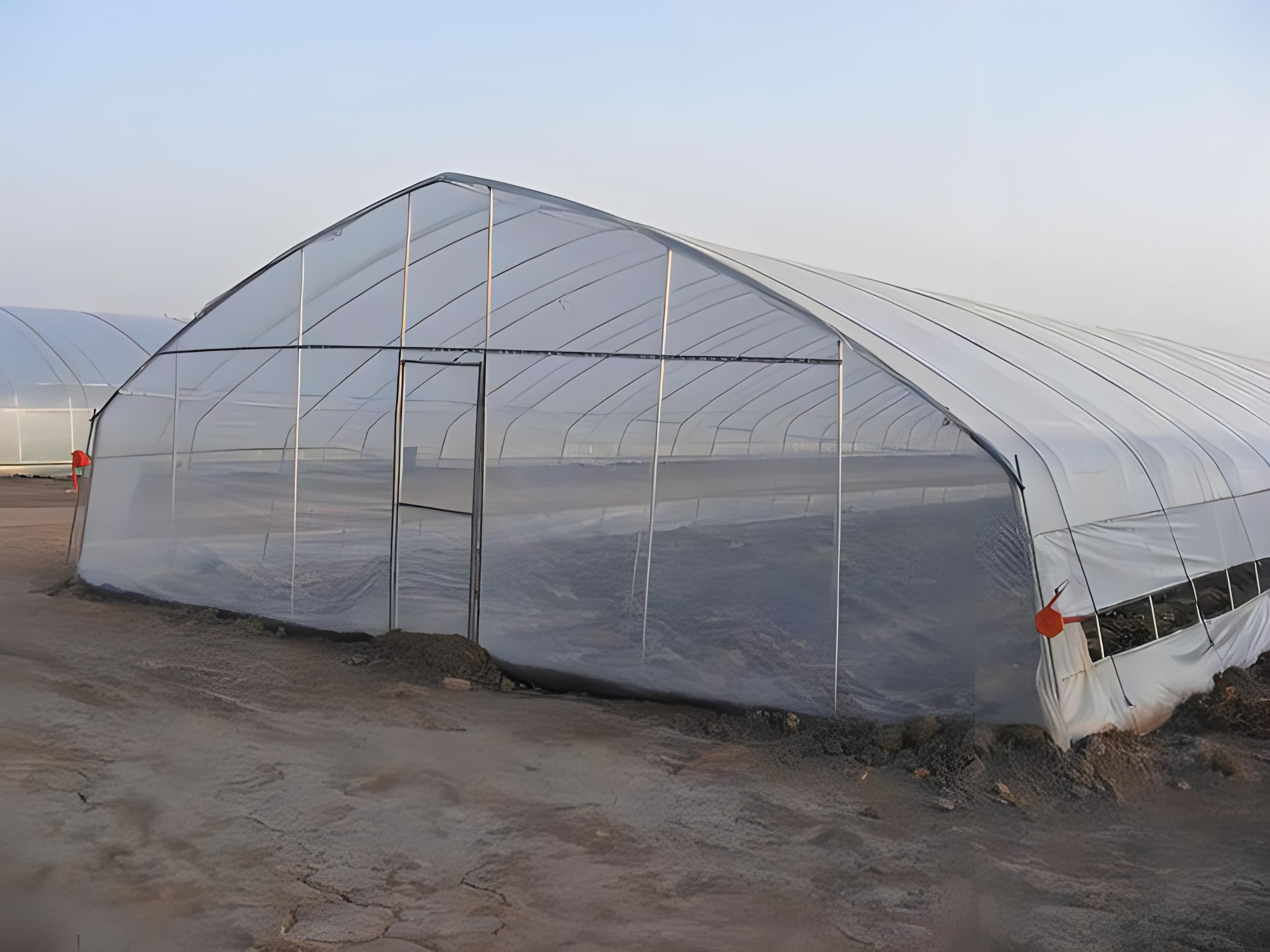 蔬菜大棚 简易大棚