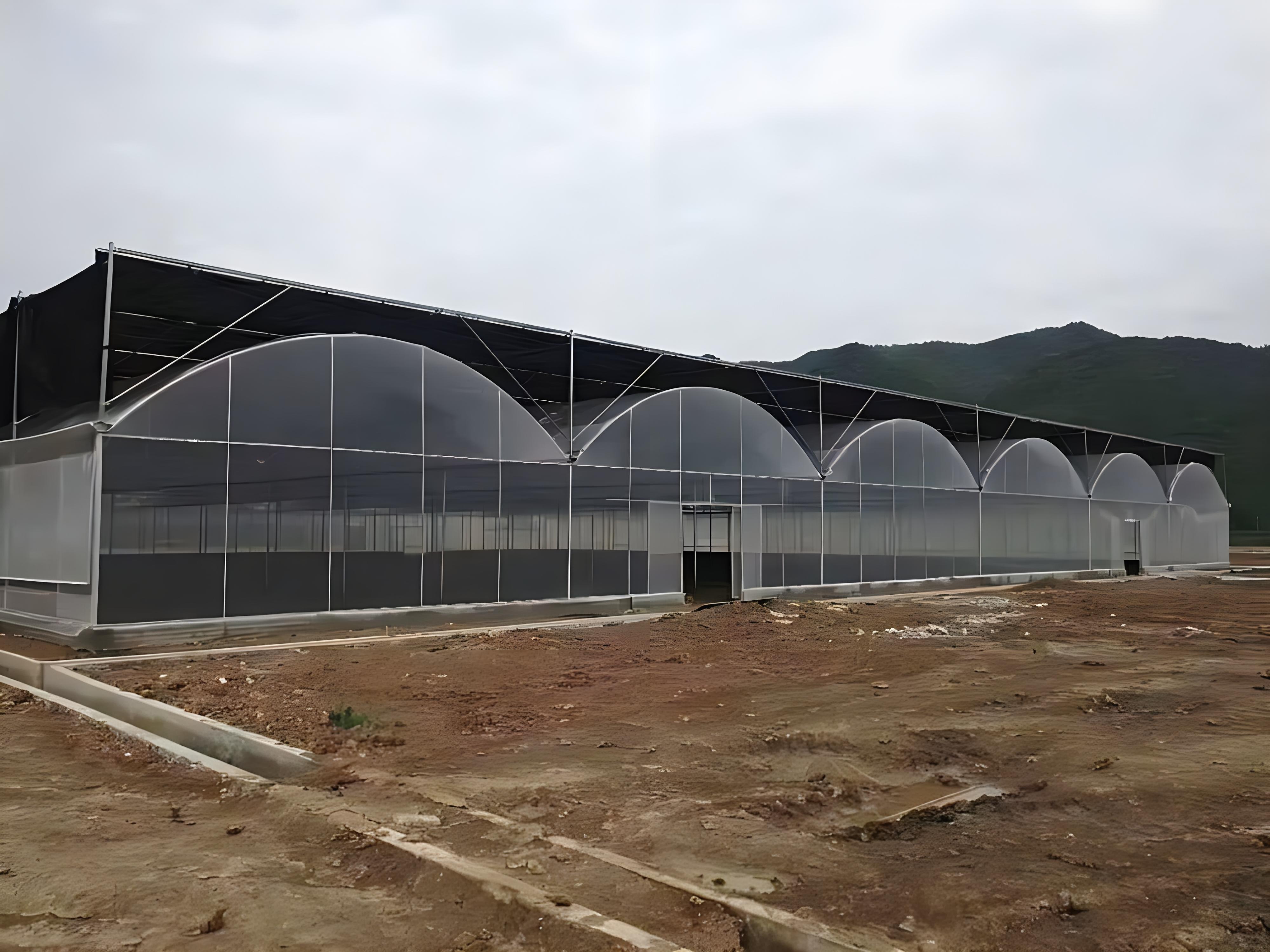 郴州蔬菜所薄膜温室