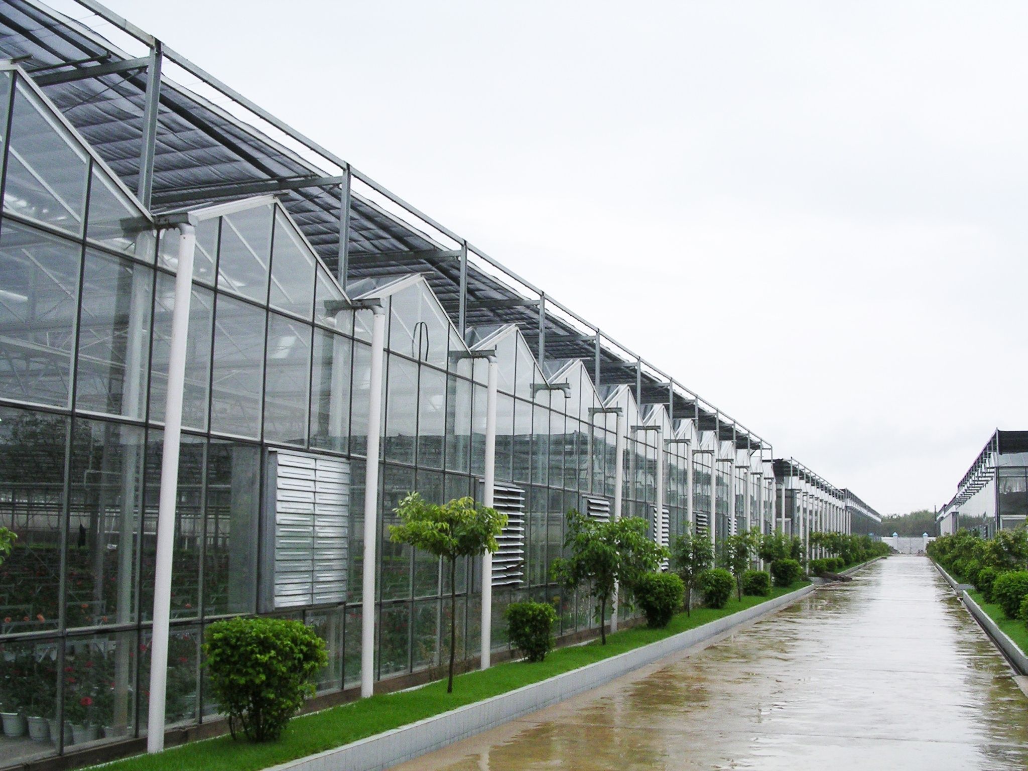 郴州蔬菜所玻璃温室案例