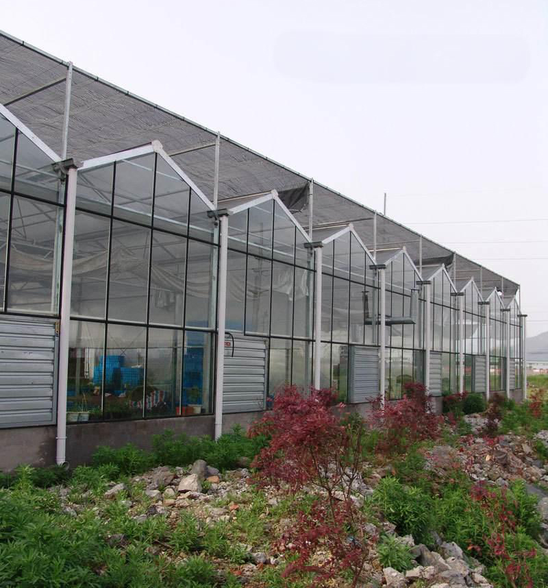 浙江省台州学院玻璃温室工程案例